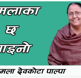 कमलाका ६ साइनो