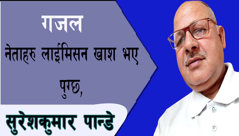 नेताहरु लाई कमिसन खाश भए पुग्छ,