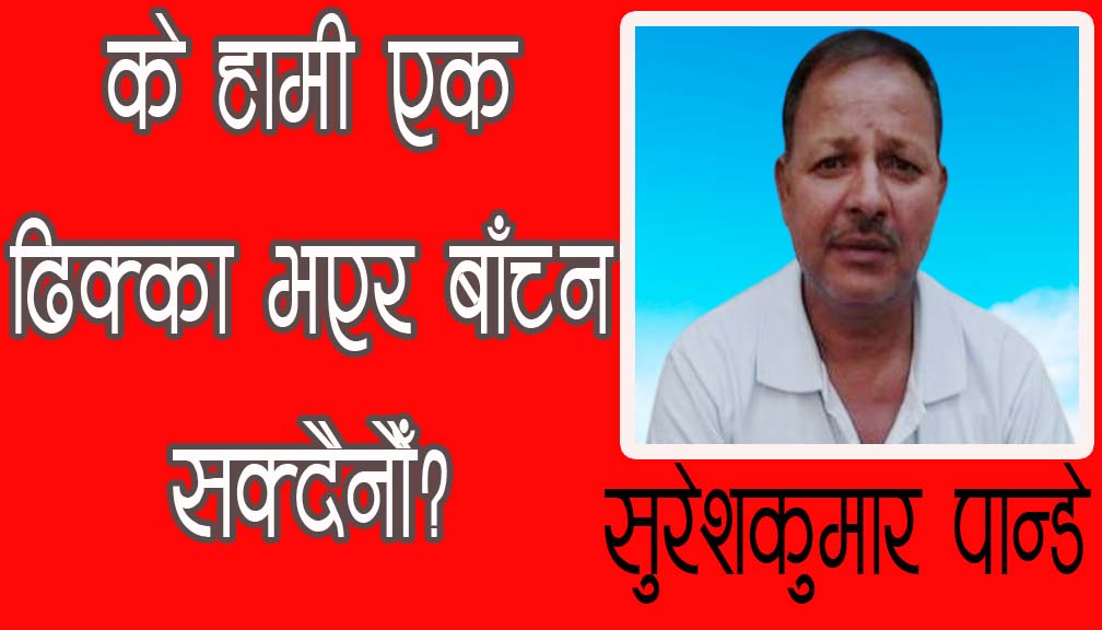 के हामी एक ढिक्का भएर बाँच्न सक्दैनौँ?