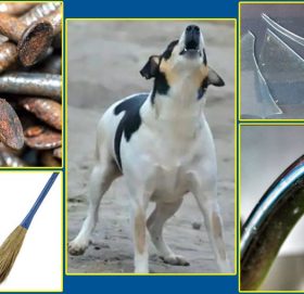 यस्ता ५ विषय बस्तु अशुभ मानिन्छ