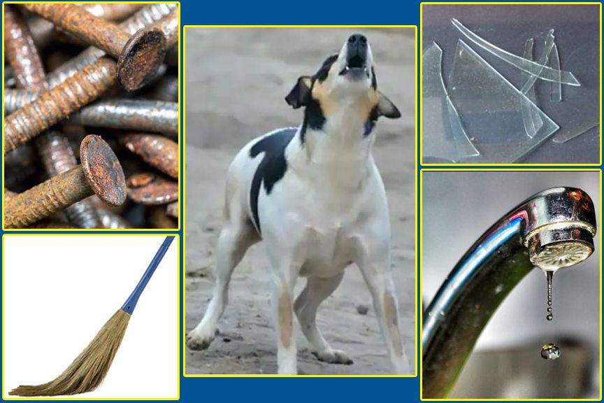 यस्ता ५ विषय बस्तु अशुभ मानिन्छ