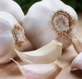 खाली पेटमा लसुन, पाँच फाइदा