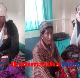 भालुको आक्रमणबाट घाइते कौशिल्ला आर्थिक अभाबमा अलपत्र