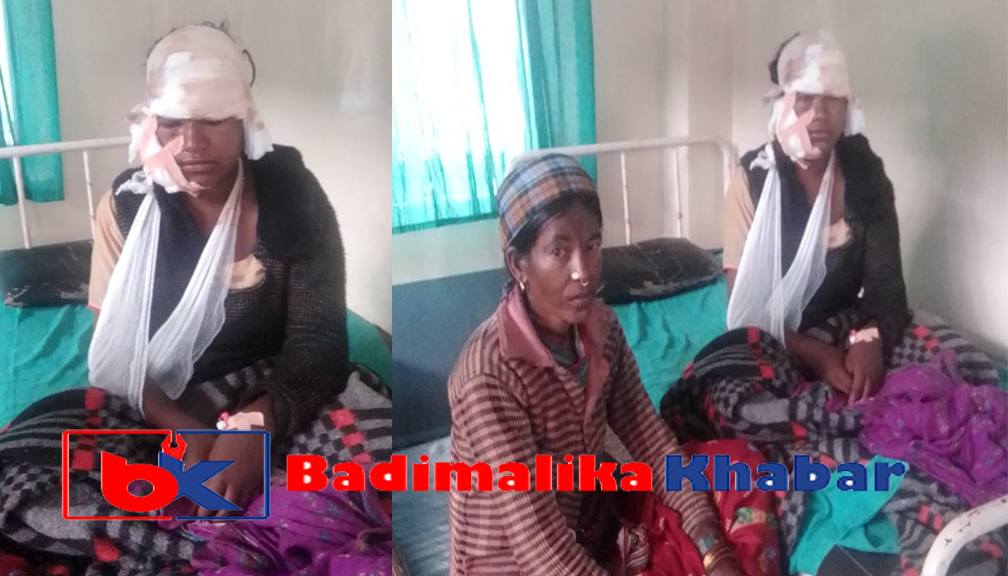 भालुको आक्रमणबाट घाइते कौशिल्ला आर्थिक अभाबमा अलपत्र