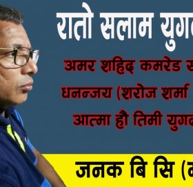 राताे सलाम युगदर्शन !!