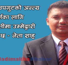 महाधिबेशन प्रतिनिधी शाहद्धारा सभापतिको उम्मेदवारीमा घोषणा