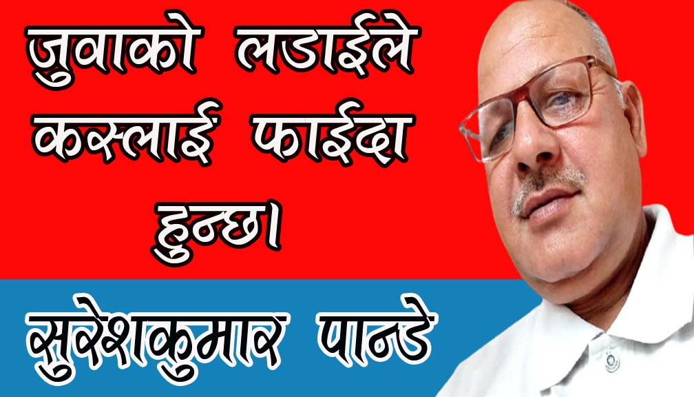 जुँवाको लडाईले कस्लाई फाईदा हुन्छ!
