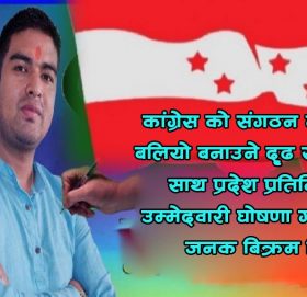 जनक बिक्रम सिंहद्धारा प्रदेश  प्रतिनिधिमा उम्मेद्धारी घोषणा