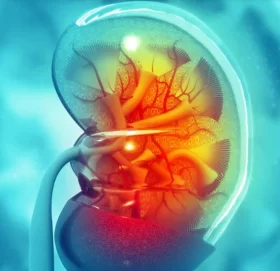 पेट र कम्मरको दुखाइ मिर्गौला पत्थरीको लक्षण