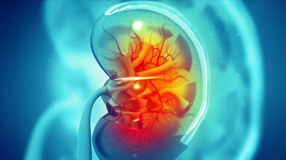 पेट र कम्मरको दुखाइ मिर्गौला पत्थरीको लक्षण