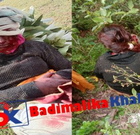 बाजुरामा भालुको आक्रमण बाट एक युवती गम्भिर घाइते