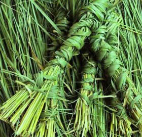 आज कुशे औँसी, बुवाकाे मुख हेर्ने दिन