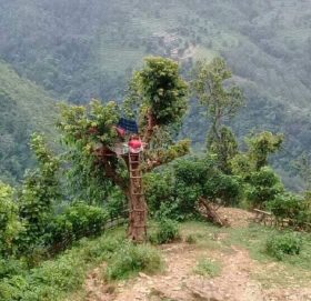 अनलाइन कक्षा लिन रुखमा डेरा