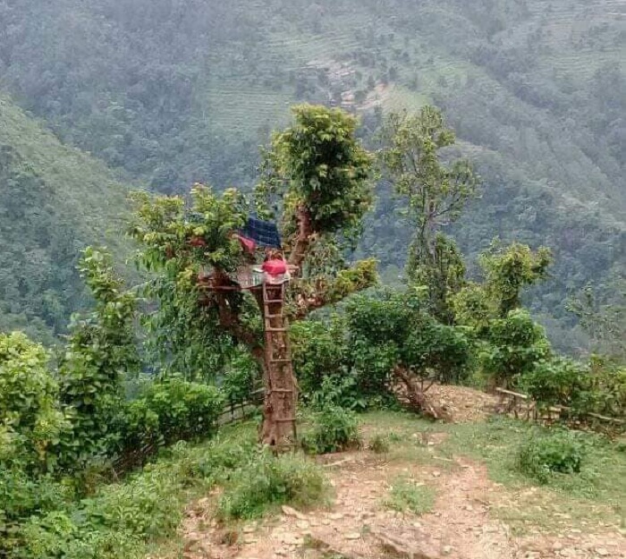 अनलाइन कक्षा लिन रुखमा डेरा