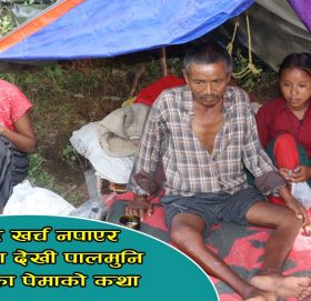 उपचार अभावमा अलपत्र पेमा ग्याल्वाे गुरूङ, ७ महिना देखी पालमुनिकाे बास (भिडियाे रिर्पाेट)