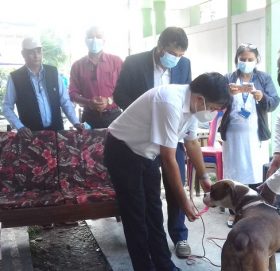 पोखरामा कुकुर पाल्न महानगरमा दर्ता गर्नुपर्ने