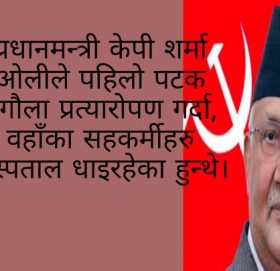 यस कारण भयो,पार्टीमा खलबल