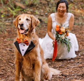 श्रीमान्‌लाई छाडेर कुकुरसँग बिहेको फोटो शूट !