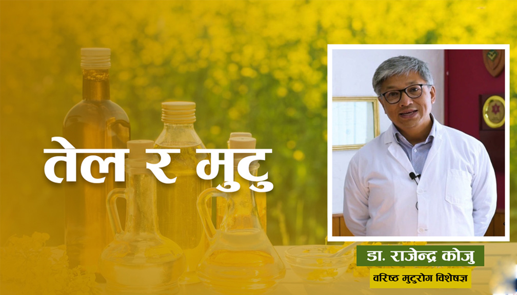 तेलले मुटुलाई बलियो बनाउँछ कि हानि गर्छ ?