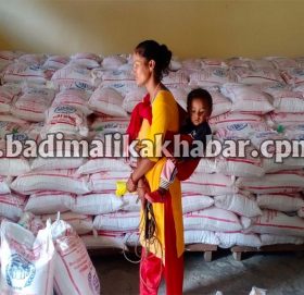 व्यापार कम्पनी लिमिटेड बाजुराले सहुलियतमा चामल बिक्रि गर्दै