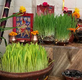 आज आश्विन शुक्ल सप्तमी : फूलपाती भित्र्याइँदै