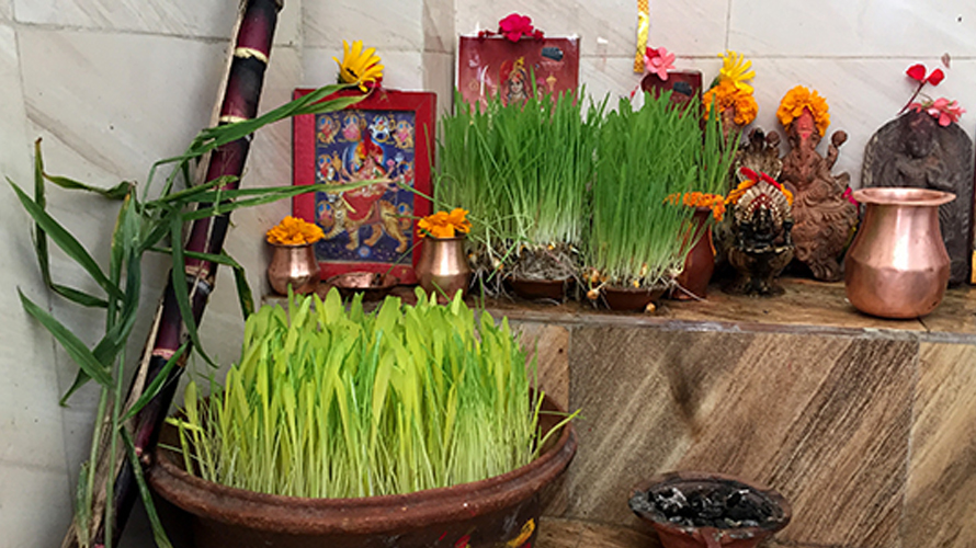 आज बडादसैँको दोस्रो दिन, ब्रह्मचारिणी भगवतीको पूजाआराधना गरिँदै