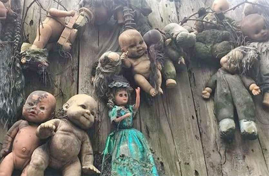 तर्साउने गुडियाको अनौठो टापु !