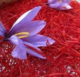 यस्तो छ केशरको औषधीय महत्व