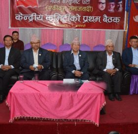 एकीकृत समाजवादीका ३३५ नेताको यस्तो छ कार्यविभाजन