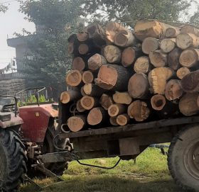 अवैध काठसहित ट्याक्टर नियन्त्रण