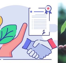 नेपालले कार्बन बेचेर १० अर्ब रुपैयाँ पाउने