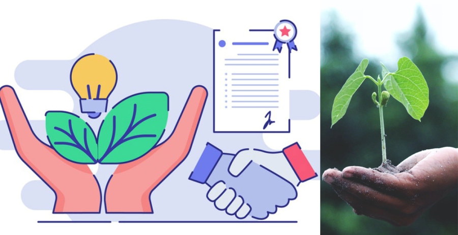 नेपालले कार्बन बेचेर १० अर्ब रुपैयाँ पाउने