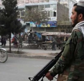 तालिवानद्वारा चिकित्सकको हत्या