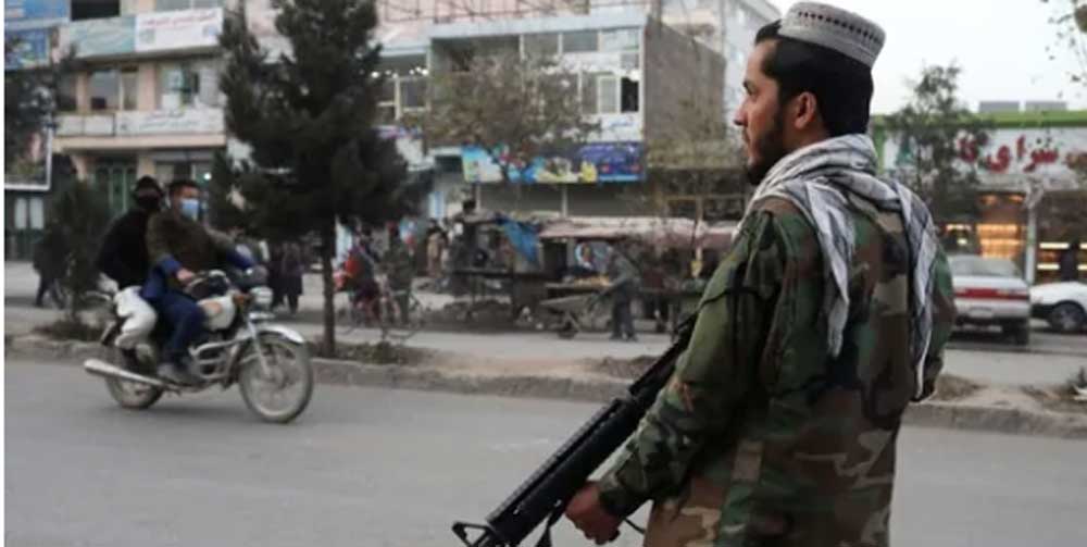 तालिवानद्वारा चिकित्सकको हत्या