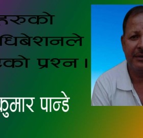 पार्टीहरूको माअधिबेशनले उठाएको प्रश्न।