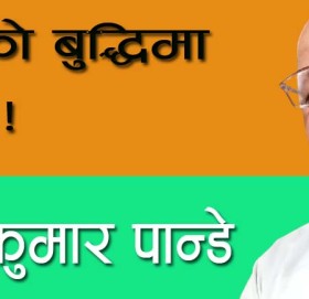 नेताको बुद्धिमा बिर्को!