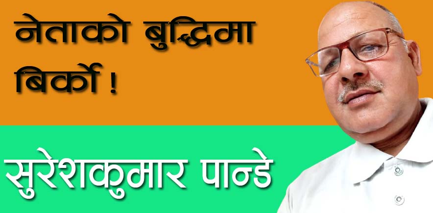 नेताको बुद्धिमा बिर्को!