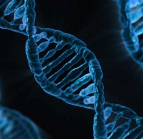 एउटा अनौठो गाउँ, जहाँ १२ वर्ष पुगेपछि छोरीहरू छोरा बन्दछन्