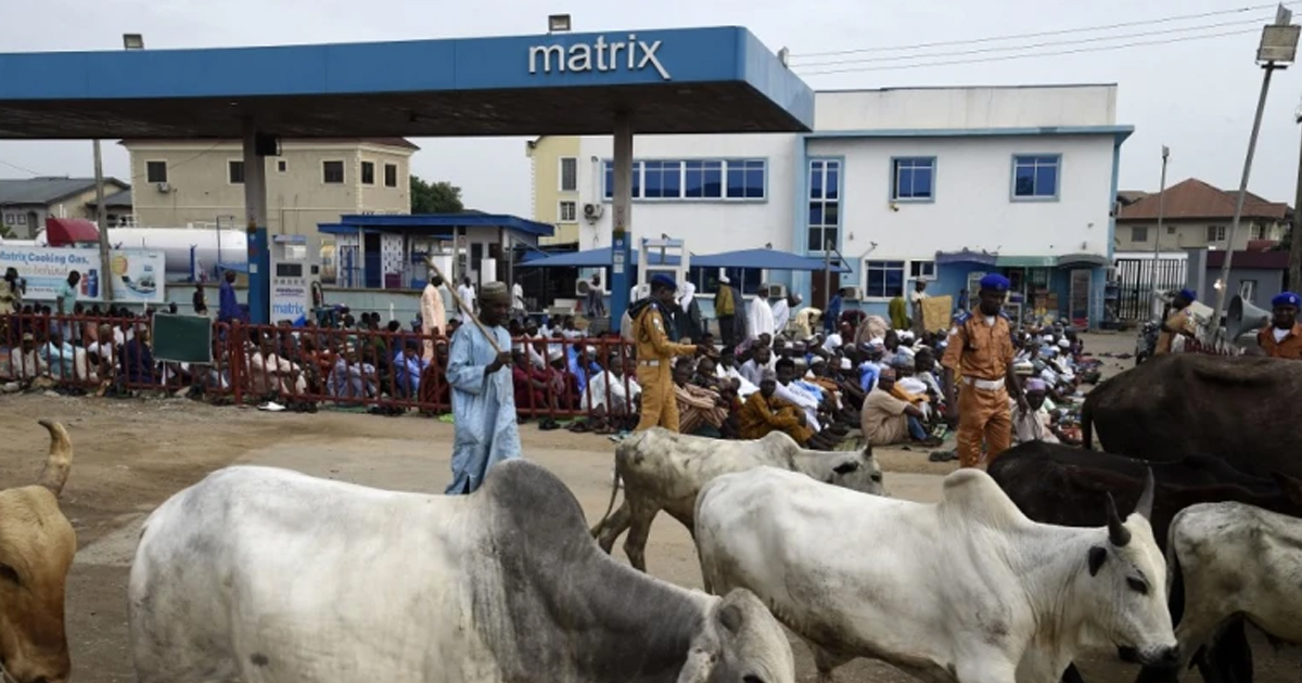 किसान र गोठालाबीच झगडा हुँदा ४५ किसानको मृत्यु