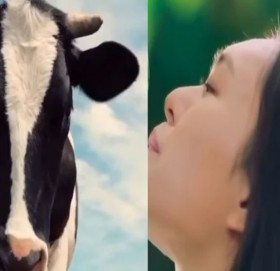 जब डेरी कम्पनीले महिलालाई गाईसँग तुलना गर्‍यो !