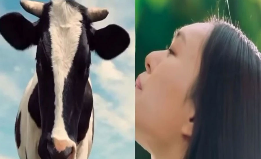 जब डेरी कम्पनीले महिलालाई गाईसँग तुलना गर्‍यो !