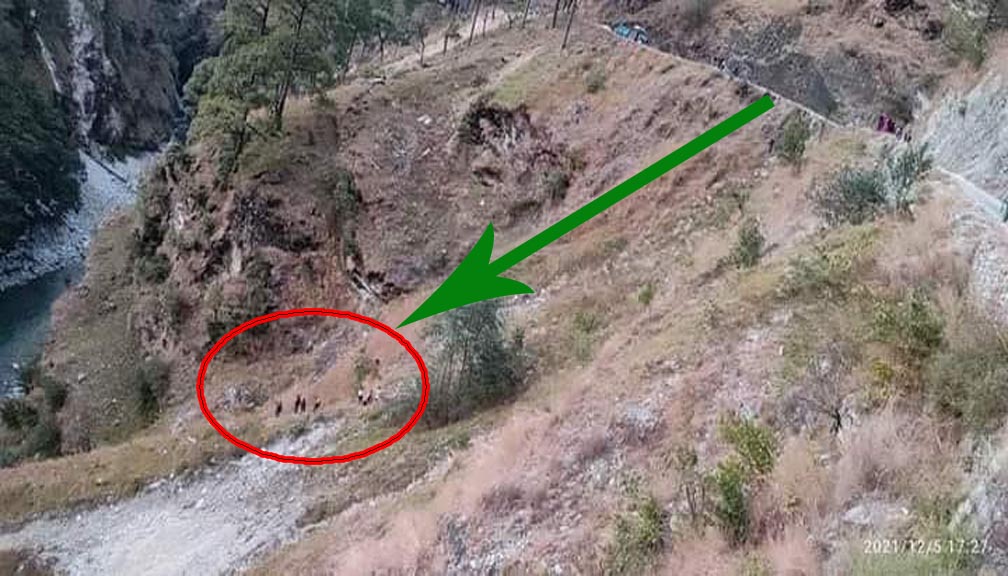 बाजुरा दुर्घटना अपडेड : अटो दुर्घटनामा परि मृत्यु हुनेकाे सनाखत