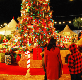 आज ‘क्रिसमस डे’ मनाइँदै