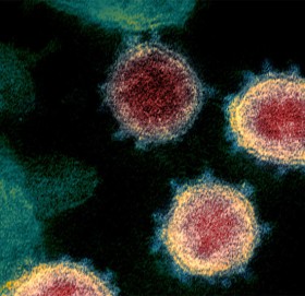 ओमिक्रोन भेरियन्ट देखिएका दुई जना सङ्क्रमणमुक्त