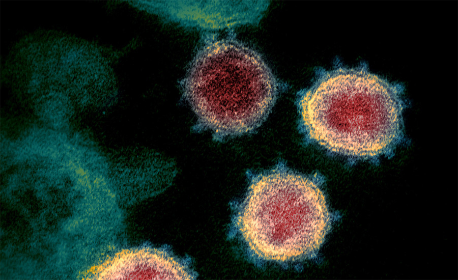 ओमिक्रोन भेरियन्ट देखिएका दुई जना सङ्क्रमणमुक्त