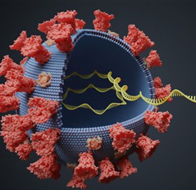 कोभिडका कारण चीनको चाङ्गचुनमा लकडाउन