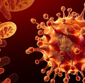 कोरोना संक्रमणबाट पोखरामा एक जनाको मृत्यु