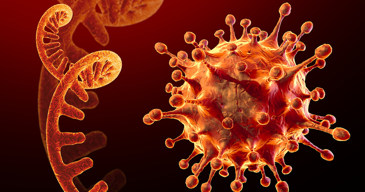 कोरोना संक्रमणबाट पोखरामा एक जनाको मृत्यु