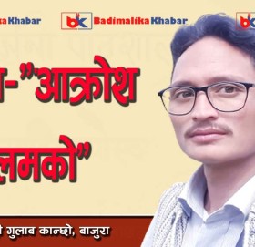 कविता- “आक्रोश कलमको”