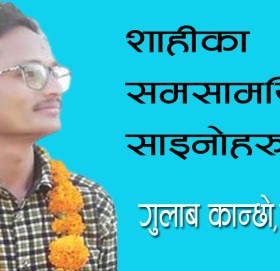 शाहीका समसामयिक ५ साइनोहरू